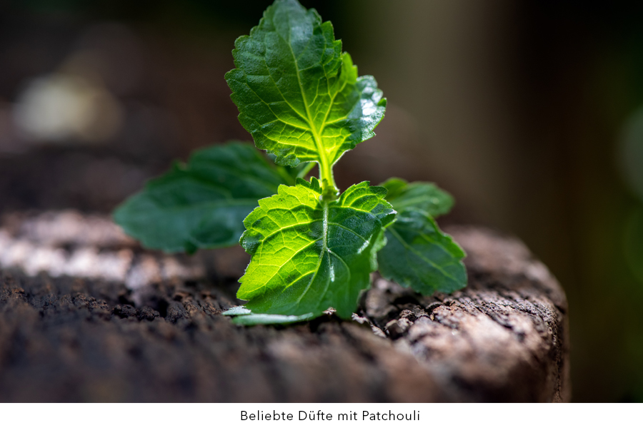 Parfum mit Patchouli