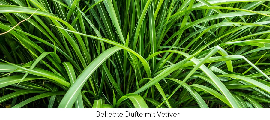 Parfum mit Vetiver- Extrait de Parfum