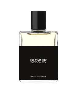 Moth and Rabbit - Blow Up