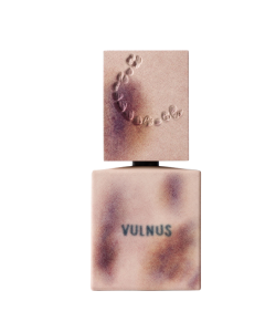 Filippo Sorcinelli - Vulnus