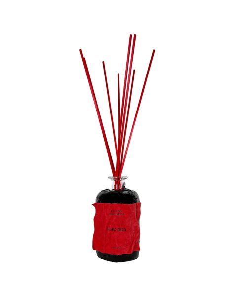 Filippo Sorcinelli - Diffuser HÆC DIES 500ml